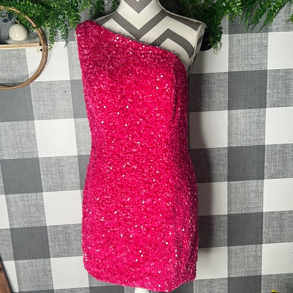Hot Pink Sequined Dress - Picture 1 of 6